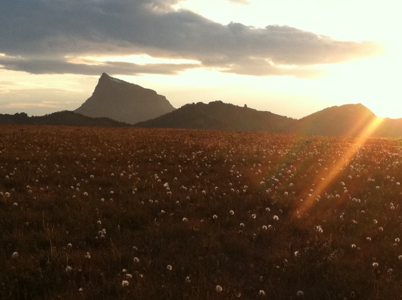 Mountain silouette at sunset with field in forground