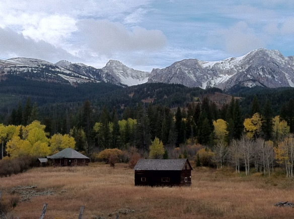 barn with aspen trees and snowy mountains in background
