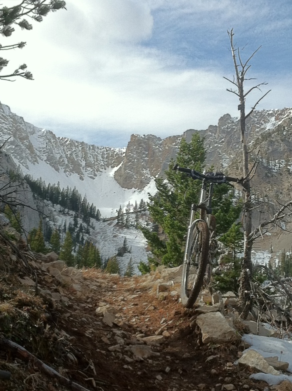 mountain bike leaning on tree with snowy mountains in background